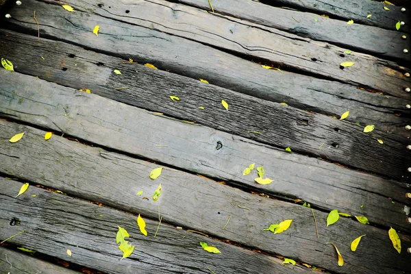 Wood walk in the jungle