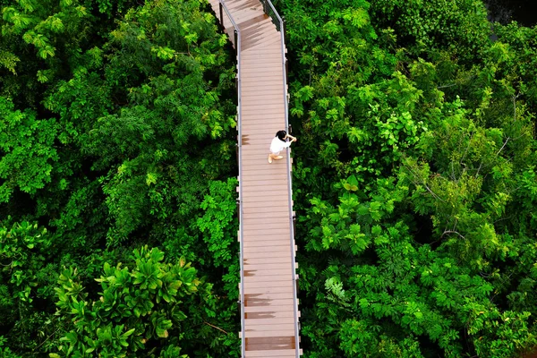 Caminhos Pedestres Natureza Nos Trópicos — Fotografia de Stock