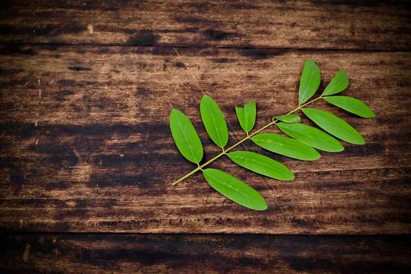 Groene Blad Houten Vloer — Stockfoto