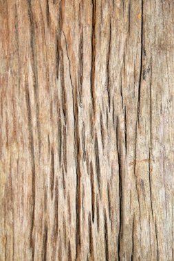 soyut ahşap doku arkaplanı