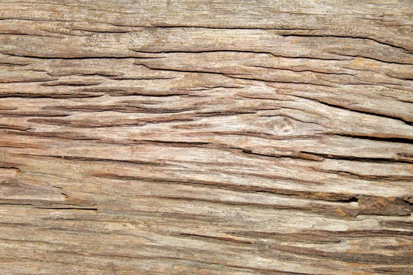 Abstract Wood Texture Background — Stock Photo, Image