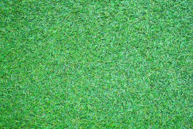 gür yeşil çim arka plan
