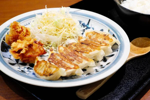 Délicieux Gyoza Japonais Assiette — Photo