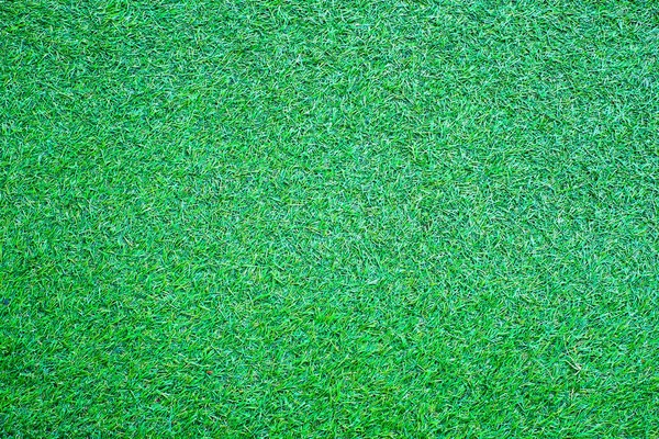 緑豊かな緑の芝生の背景 — ストック写真