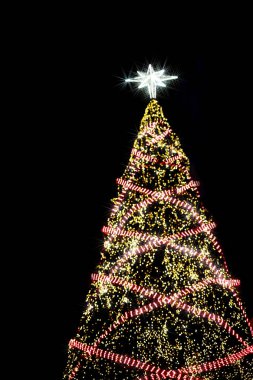 Koyu arka plan karşı uzun Noel ağaç