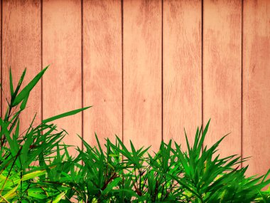 green grass and wood background