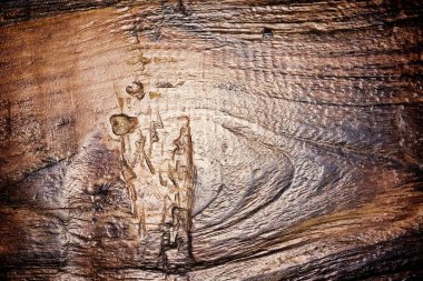 kahverengi ahşap zemin arkaplanı