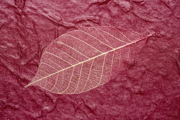 Kastanjebruine Papier Textuur Blad — Stockfoto