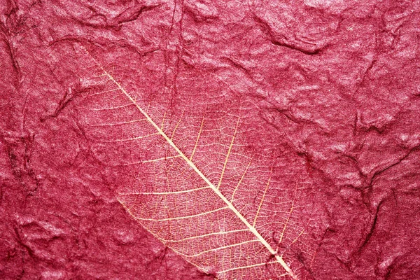 Textur Und Blatt Aus Kastanienbraunem Papier — Stockfoto