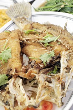 Balık ve otlar. Arka kapatmak