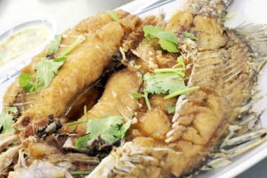 Balık ve otlar. Arka kapatmak