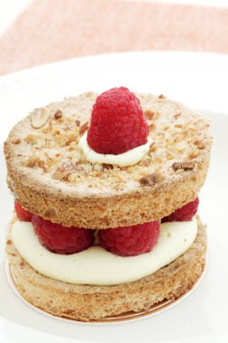 Berry kek yakın çekim 