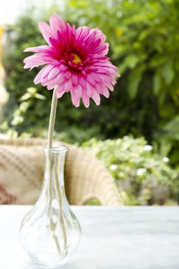 Masada Fuchsia yapay çiçekleri var.