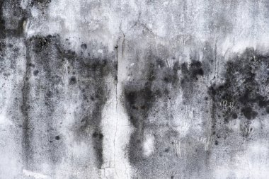 arkaplan için eski beton duvar