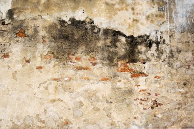 arka plan için eski beton duvar