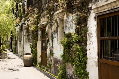 Arka plan için weeds ile eski beton duvar.