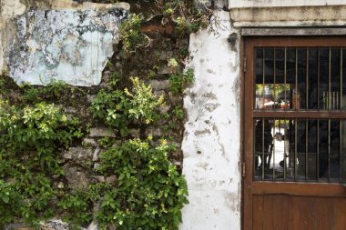Arka plan için weeds ile eski beton duvar.
