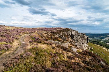 Bamford kenar heather sezonunda