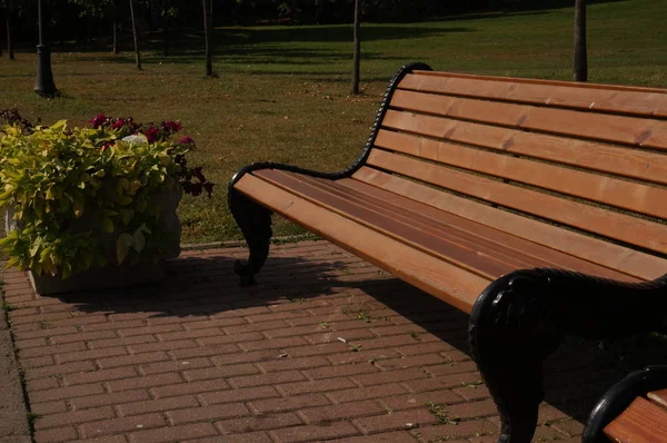 Houten Bankje Tuin Zomer — Stockfoto