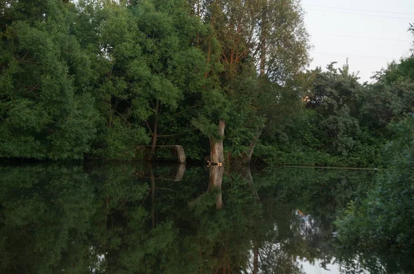 Parktaki gölet