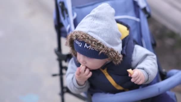 一个戴着针织帽子的蓝眼睛和一个毛皮罩的男孩在婴儿车里吃糖果 — 图库视频影像