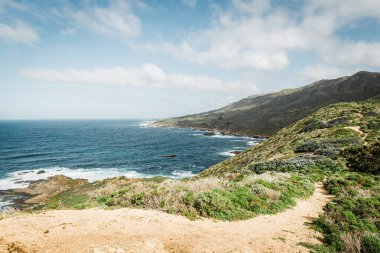 Okyanusa giden yeşil fırçaile dağlarda patika