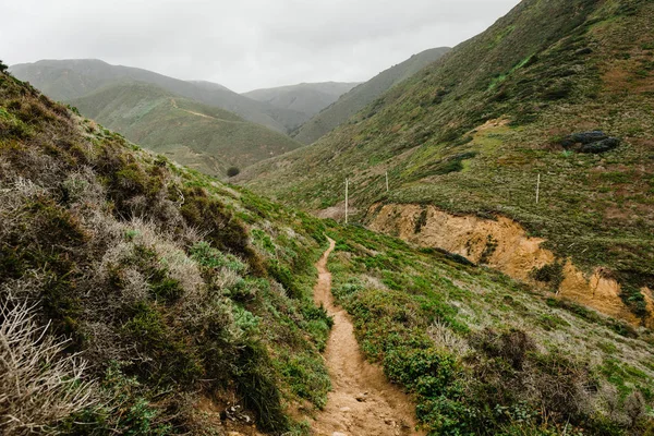 Yeşil fırça ile dağlarda Pathway