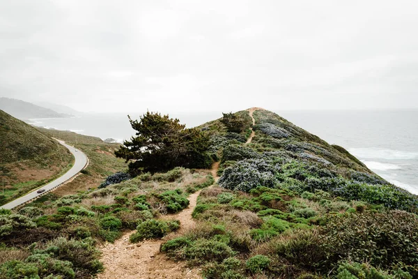 Yeşil fırça ile dağlarda Pathway