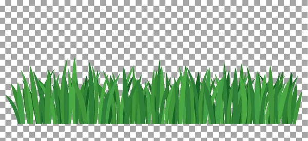 길이의 신선한 녹색 봄 잔디 테두리의 큰 세트 — 스톡 벡터