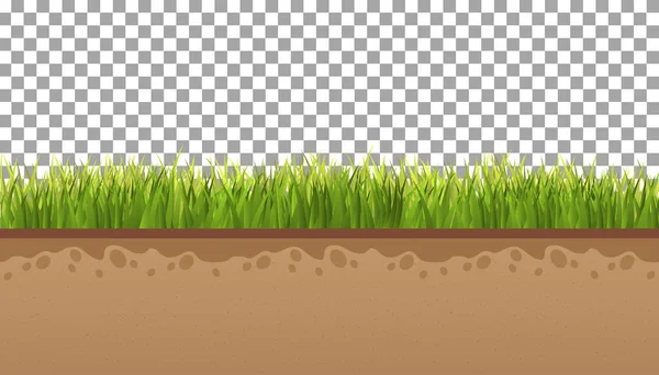 Terreno con erba verde Su uno sfondo trasparente . — Vettoriale Stock