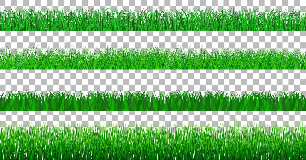 Collection Green Grass spring There are many form isolated