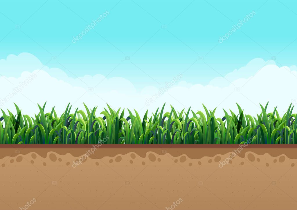 Ground  with green grass along with nature and sky with beautiful clouds. Vector illustrations