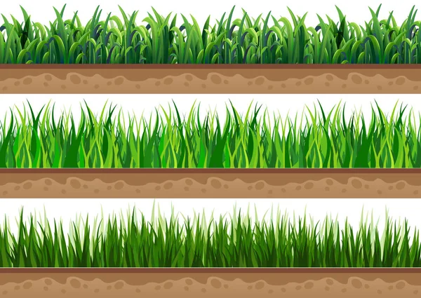 Set of grass with a beautiful natural ground. Used for vector — Stock Vector