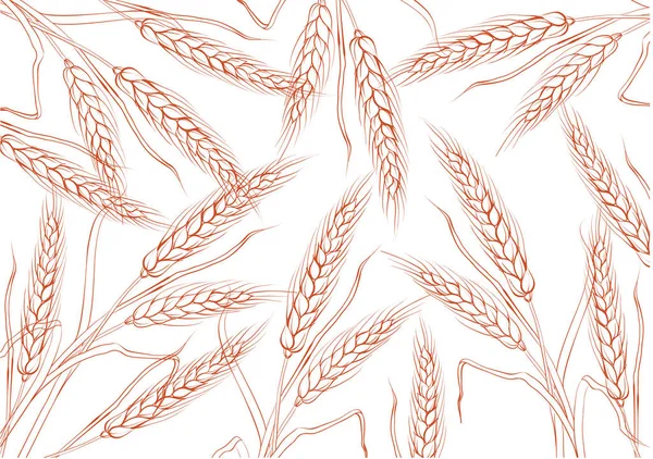 Wheat Background Color White Many Vector Illustration — Stock Vector