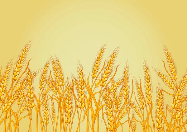 Trigo aislado sobre fondo amarillo. Plantilla, impresión, elemento de diseño. ilustraciones vectoriales — Vector de stock