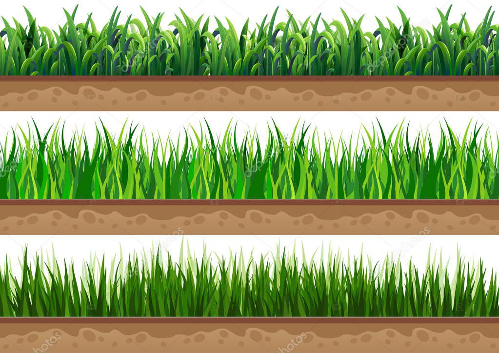 set of grass with a beautiful natural ground. Used for vector