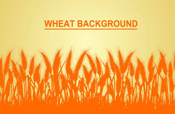 Sol köşedeki sarı arka plandaki buğday, metin girişi için alana sahiptir. Vektör çizimleri