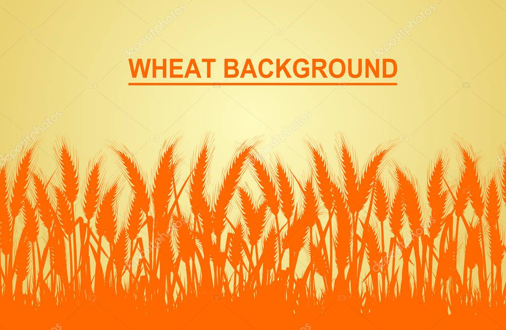 Wheat on the yellow background in the left hand corner has space for text input. Vector illustrations
