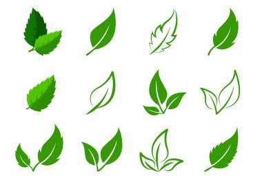 Green abstract leaf icons many natural set on white background. Vector illustration. Nature clipart