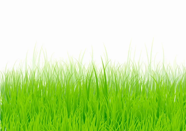 Conjunto de fronteras de hierba verde grande aislado sobre fondo blanco, respaldo — Archivo Imágenes Vectoriales