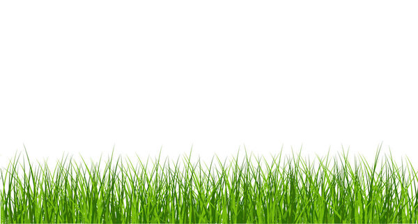 Big Green Grass Borders Set  isolated on white background, Vecto