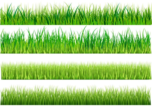 Set of green grass varieties. There are 4 styles to choose from. — Stock Vector