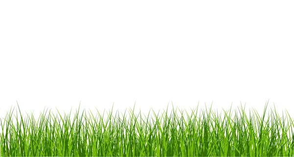 Big Green Grass Borders Set  isolated on white background — Stock Vector