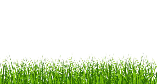 Big Green Grass Borders Set  isolated on white background