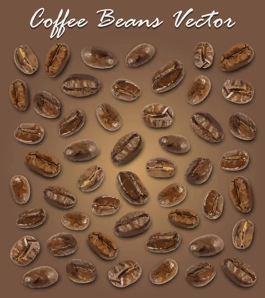 Set Van Gebrande Koffiebonen Elementen Vector Schaduw Bruine Achtergrond Met — Stockvector