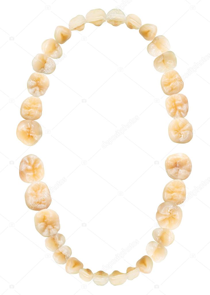 Tooth diagram ( photography ). Real teeth chart . Top view . isolated white background .