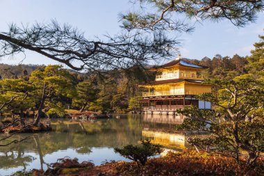 Kinkakuji Tapınağı (Rokuon-ji Tapınağı). Kyoto, Japonya Altın Köşk. Manzaralı .