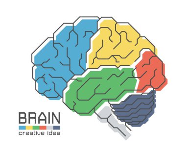 Düz renk tasarım ve anahat konturu beyin anatomisi. Frontal Parietal zamansal oksipital lob serebellum ve beyin sapı. Yaratıcı bir fikir kavramı