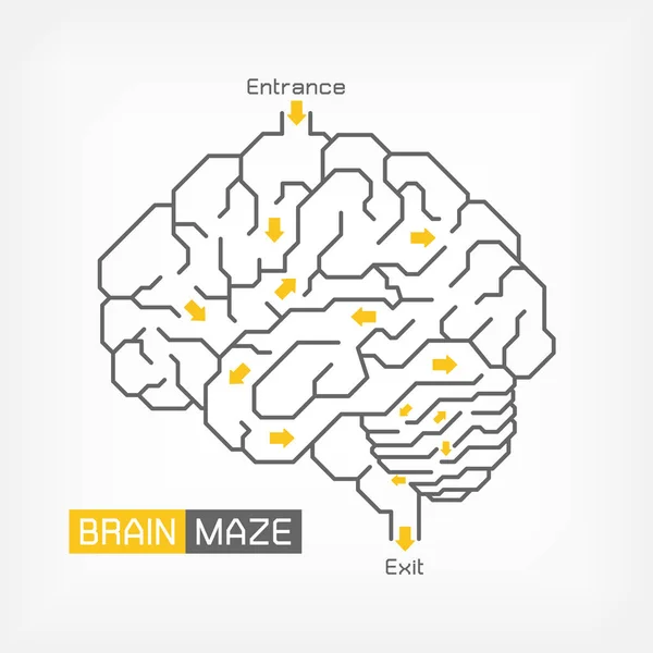 Brain maze . Creative idea concept . Outline of cerebrum cerebellum and brainstem . Flat design — Stock Vector