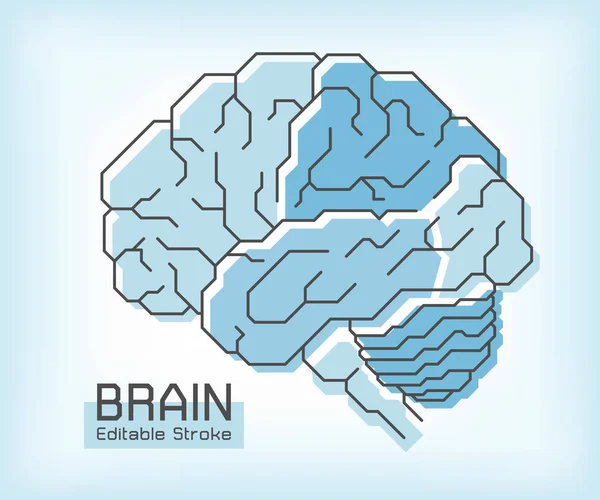 Brain anatomie a osnovy tah. Čelní parietální temporální týlní lalok mozeček a mozkový kmen. Lékařská koncepce. Upravitelná stopa . — Stockový vektor